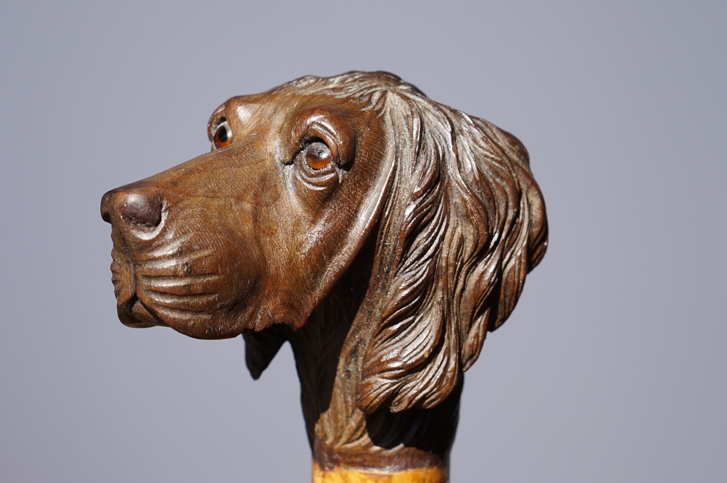 A Countryside Hunt Terrier Dog, a tall Walking cane. England, ca. 1900