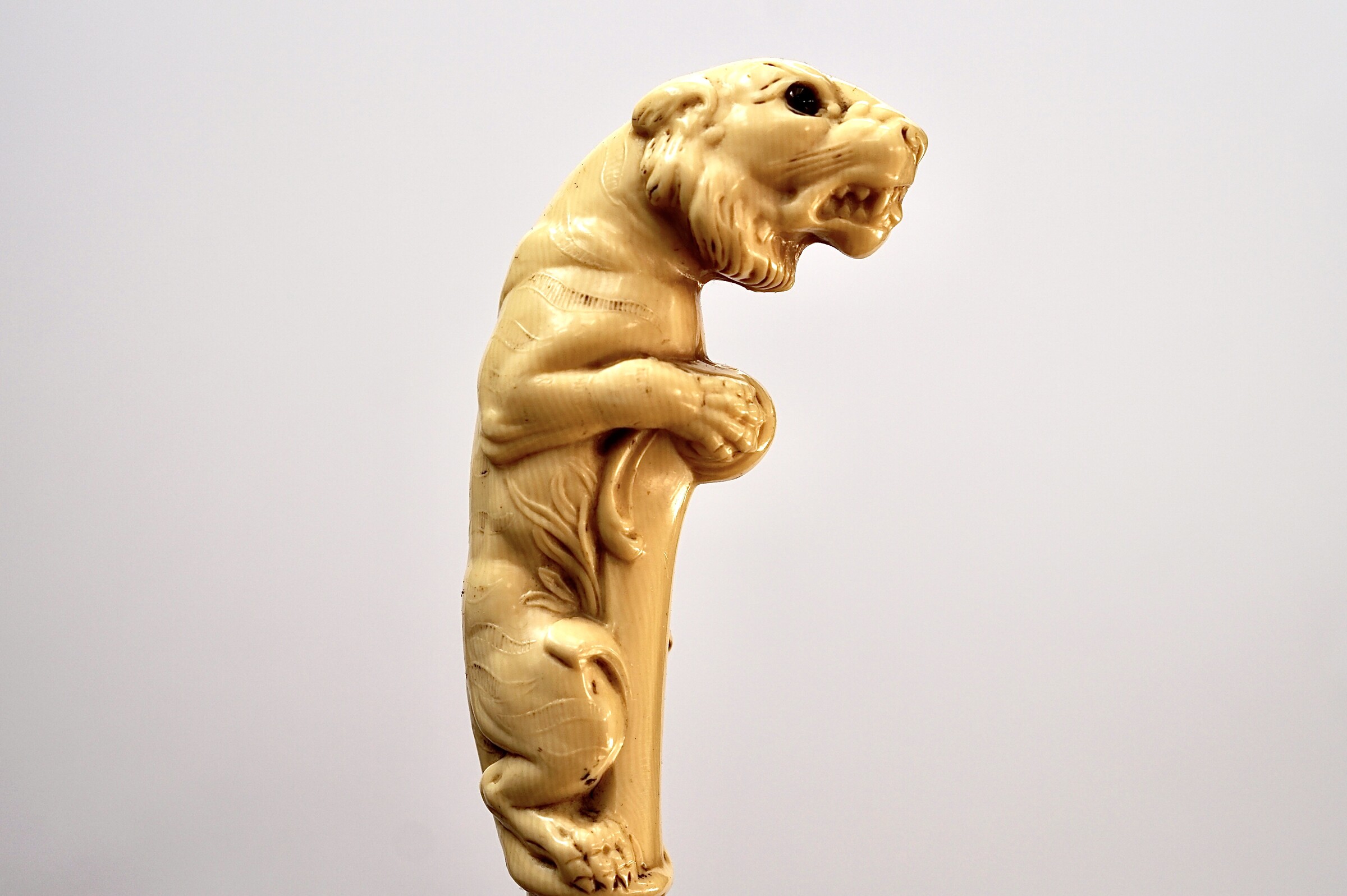 Bakelite Bengal Tiger Walking stick. France, ca 1900