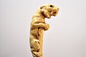 Bakelite Bengal Tiger Walking stick. France, ca 1900