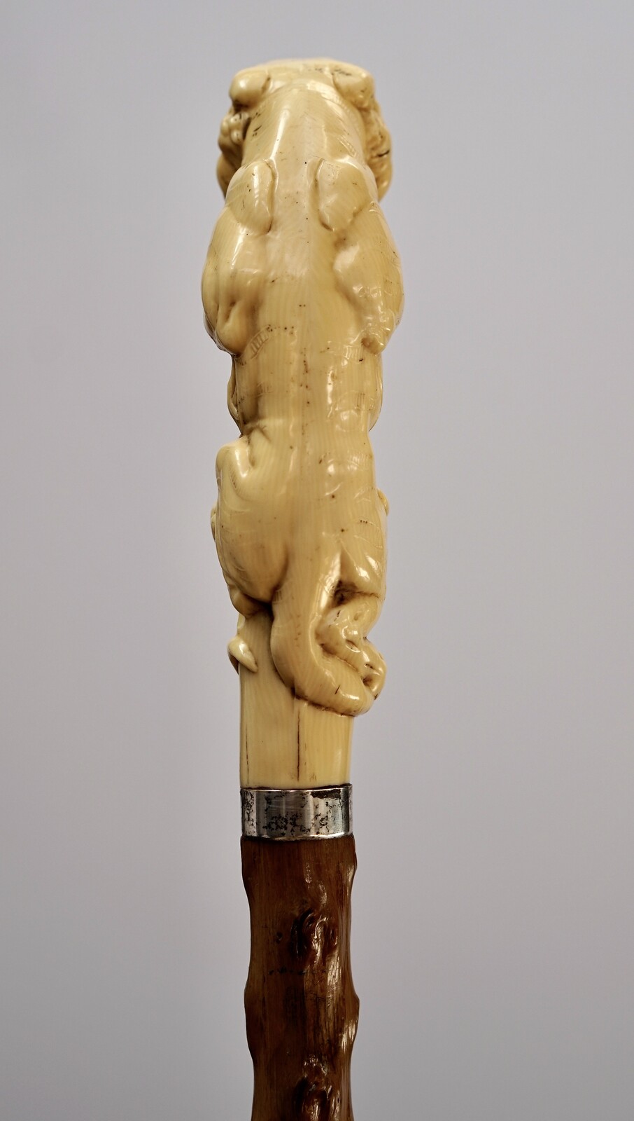 Bakelite Bengal Tiger Walking stick. France, ca 1900