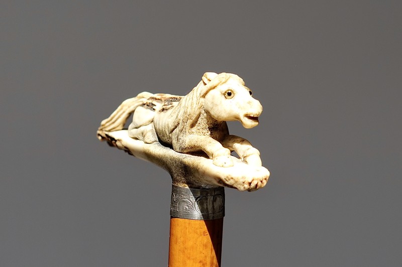 Lying Horse Cane. England, ca. 1900